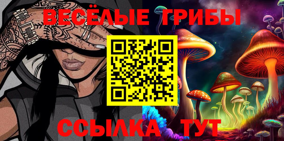 Будённовск  Псилоцибиновые грибы мицелий  Вход с VPN  Псилоцибиновые грибы Cubensis 