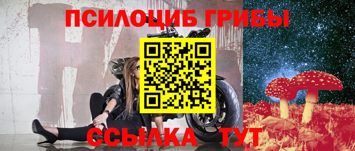 Псилоцибиновые грибы ЛСД Будённовск
